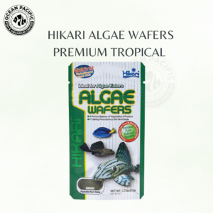 Hikari Algae Wafers – Premium Tropical Fish Food
