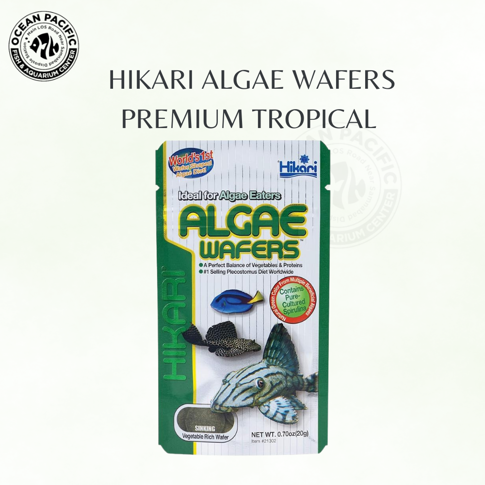 Hikari Algae Wafers – Premium Tropical Fish Food