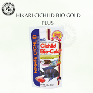 Hikari Cichlid Bio Gold Plus – Premium Tropical Cichlid Food