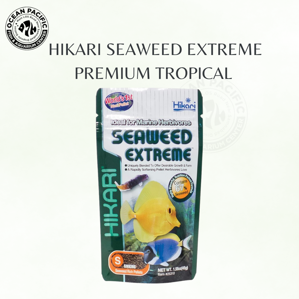 Hikari Seaweed Extreme – Premium Tropical Fish Food