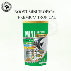 BOOST Mini Tropical – Premium Tropical