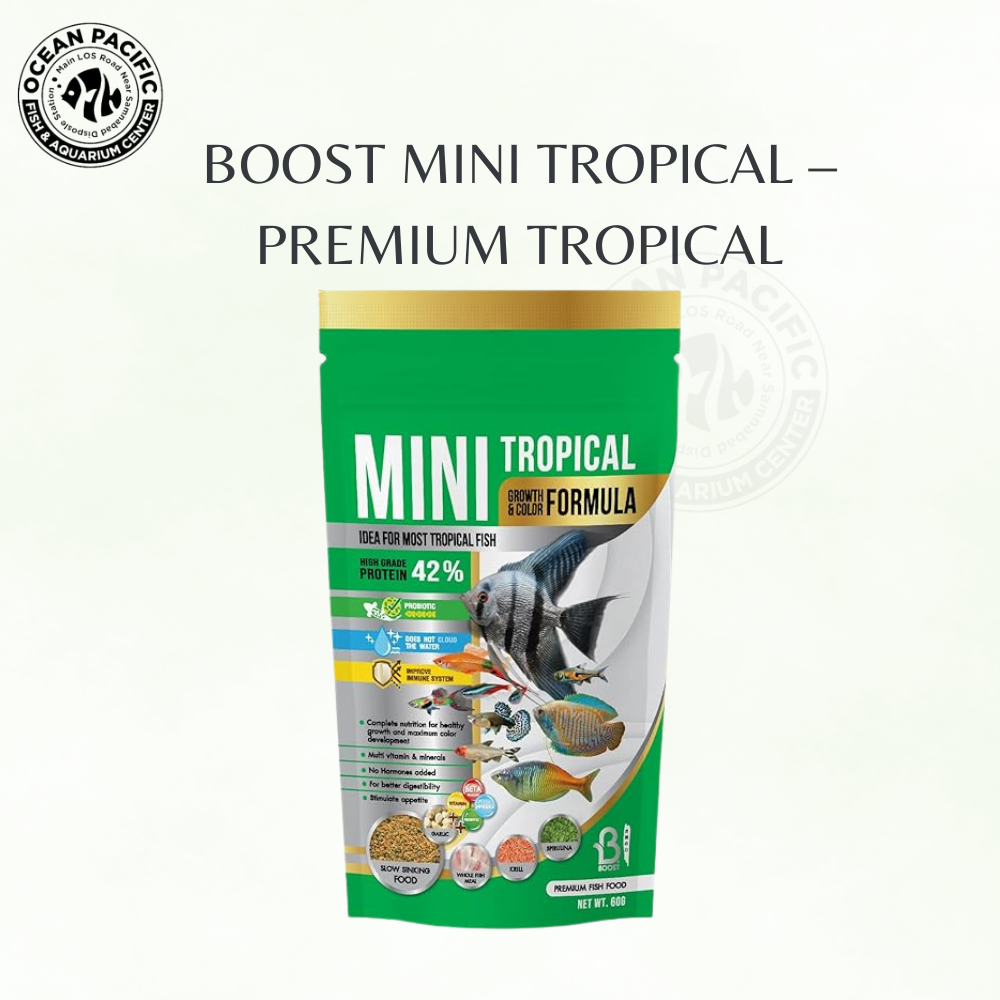 BOOST Mini Tropical – Premium Tropical