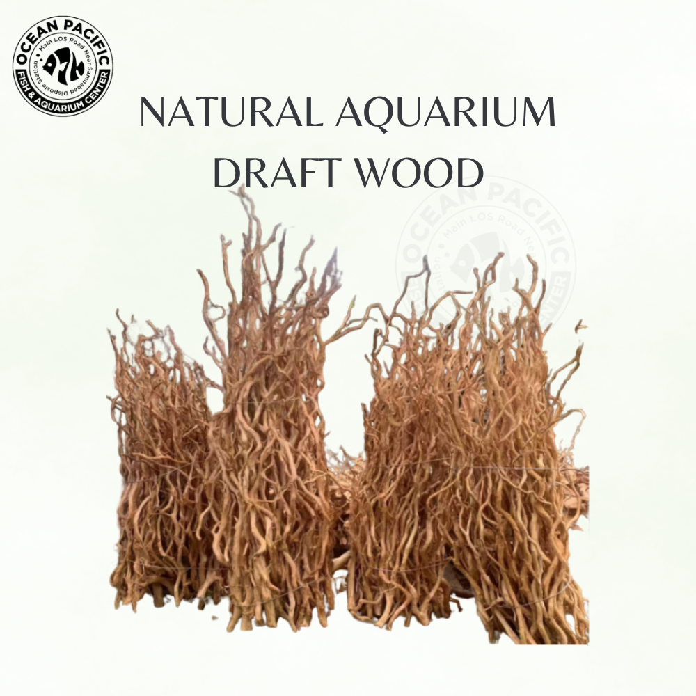 Natural Aquarium Draft Wood