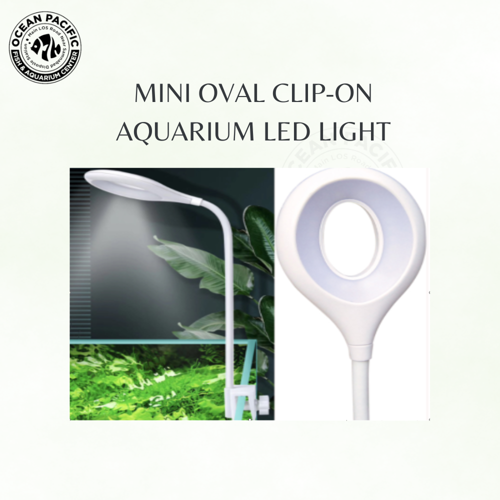 Mini Oval Clip-On Aquarium LED Light